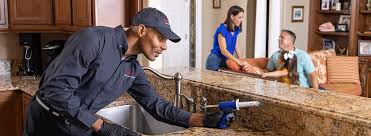 Best Residential Pest Control  in Cedar Hills, OR